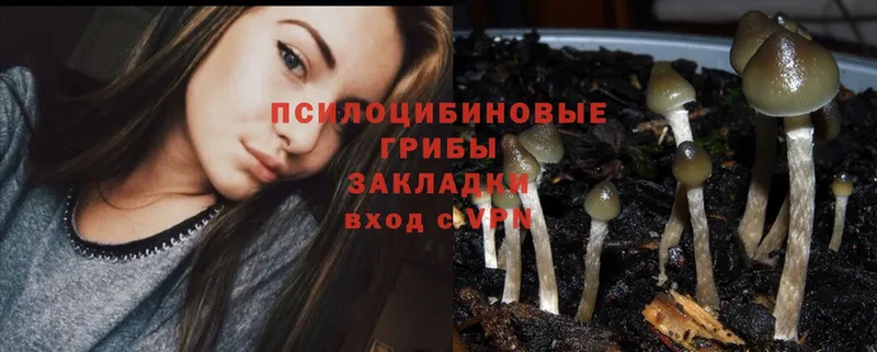 Галлюциногенные грибы MAGIC MUSHROOMS  купить  сайты  Карабаново 